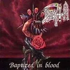 Pochette Baptized in Blood