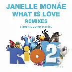 Pochette What Is Love Remixes