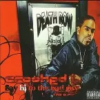 Pochette Say Hi to the Bad Guy