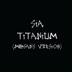 Pochette Titanium (Megan’s v3rsion)