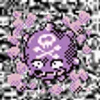 Pochette #109 ~ Koffing