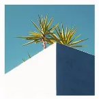 Pochette Blue Shades