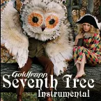 Pochette Seventh Tree (Instrumental)