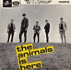 Pochette The Animals Is Here
