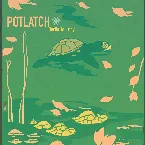 Pochette Turtle Journey