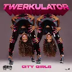 Pochette Twerkulator