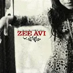 Pochette Zee Avi