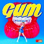 Pochette Gum