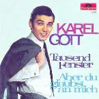 Pochette Tausend Fenster / Aber du glaubst an mich