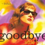Pochette Goodbye Little Boy