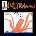 Pochette Live From The Giant Octopus