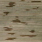 Pochette Presence of Noise