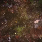 Pochette Live in Portland, Yale Union (Daniel Menche remix)