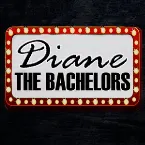 Pochette Diane