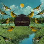 Pochette Confession