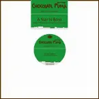 Pochette A Star Is Born