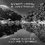 Pochette Everything & Anything