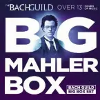 Pochette Big Mahler Box