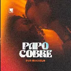 Pochette Papo Cobre