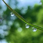 Pochette Morning Dew Light Source