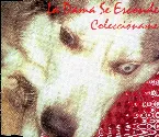 Pochette Coleccióname