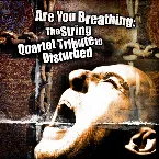 Pochette Are You Breathing: The String Quartet Tribute to Disturbed