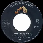 Pochette Welcome to My World / Good Morning Self