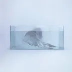 Pochette jellyfish