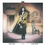 Pochette TROUBLE IN PARADISE