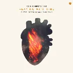 Pochette Playing With Fire (Alex di Stefano + Maglev remix)