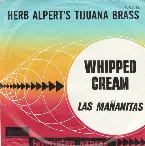 Pochette Whipped Cream