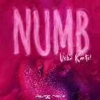 Pochette Numb