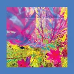 Pochette The Past Is a Garden I Never Fed
