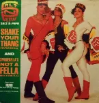 Pochette Shake Your Thang / Spinderella's Not A Fella (But A Girl DJ)