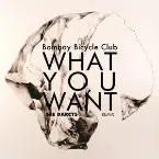 Pochette What You Want (The Darcys remix)