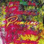Pochette Promises
