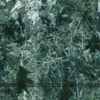 Pochette Voices From the Lake