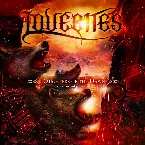 Pochette Daughters of the Dawn - Live in Tokyo 2019