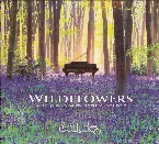 Pochette Wildflowers: Solo Piano with Nature Sounds