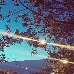 Pochette Live Sunday Service