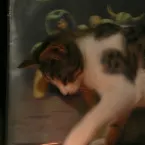 Pochette Impish Tyrant