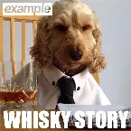 Pochette Whisky Story