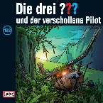 Pochette Die drei ??? 163: und der verschollene Pilot