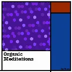 Pochette Organic Meditations