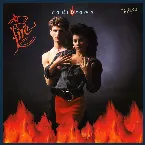 Pochette Fire