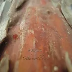 Pochette Otherworldliness