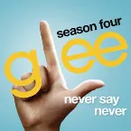 Pochette Never Say Never