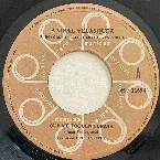 Pochette Que me toquen cumbia / Indiferente