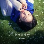 Pochette 녹지않을게