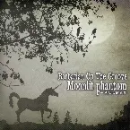 Pochette 一角獣に宿る夢 - Moonlit Phantom -